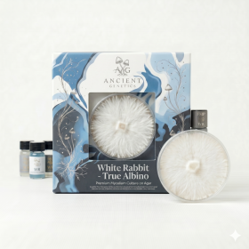 White Rabbit - Grzybnia na Agarze