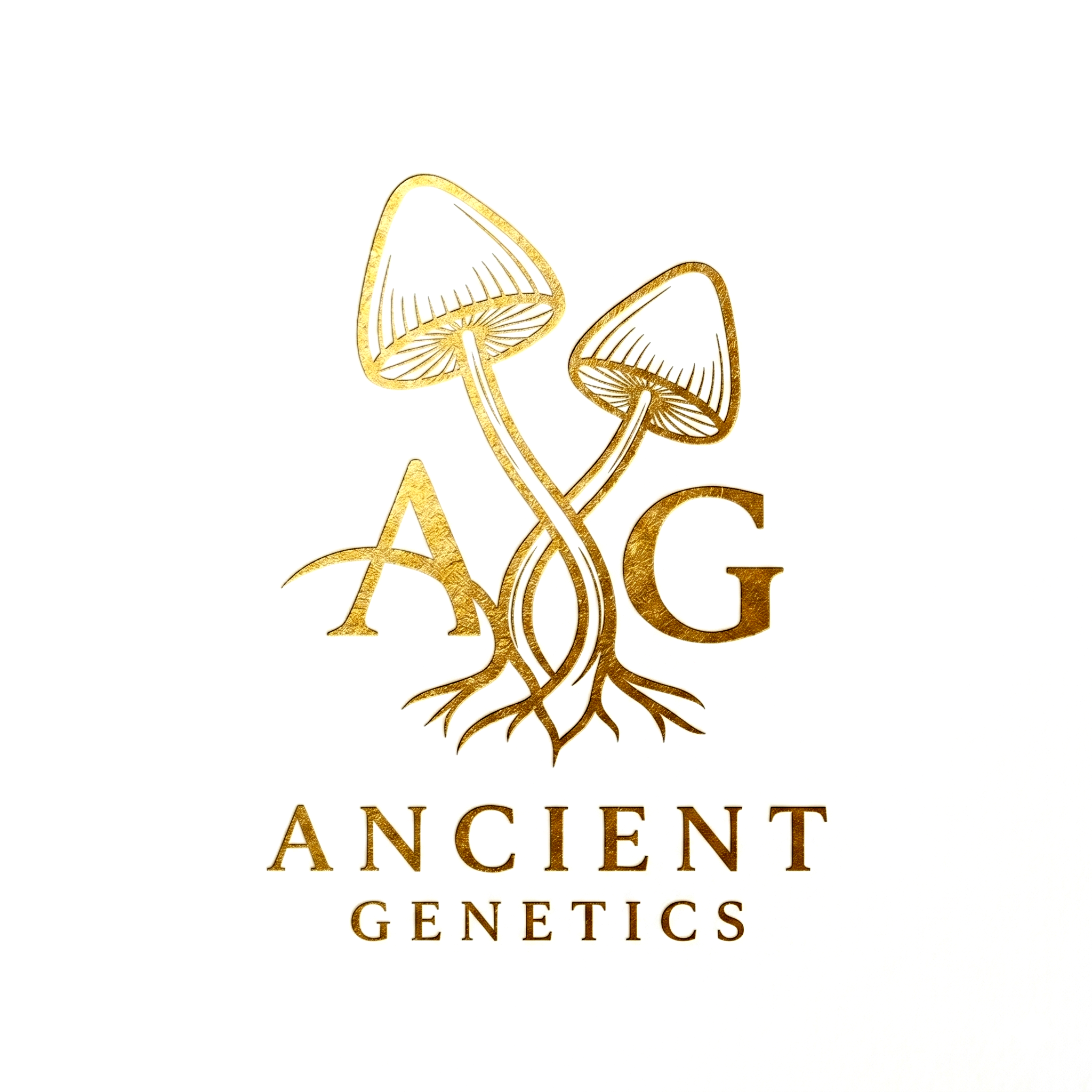 Ancient Genetics - Ultra Premium Liquid Cultures | Mycelium on Agar | More